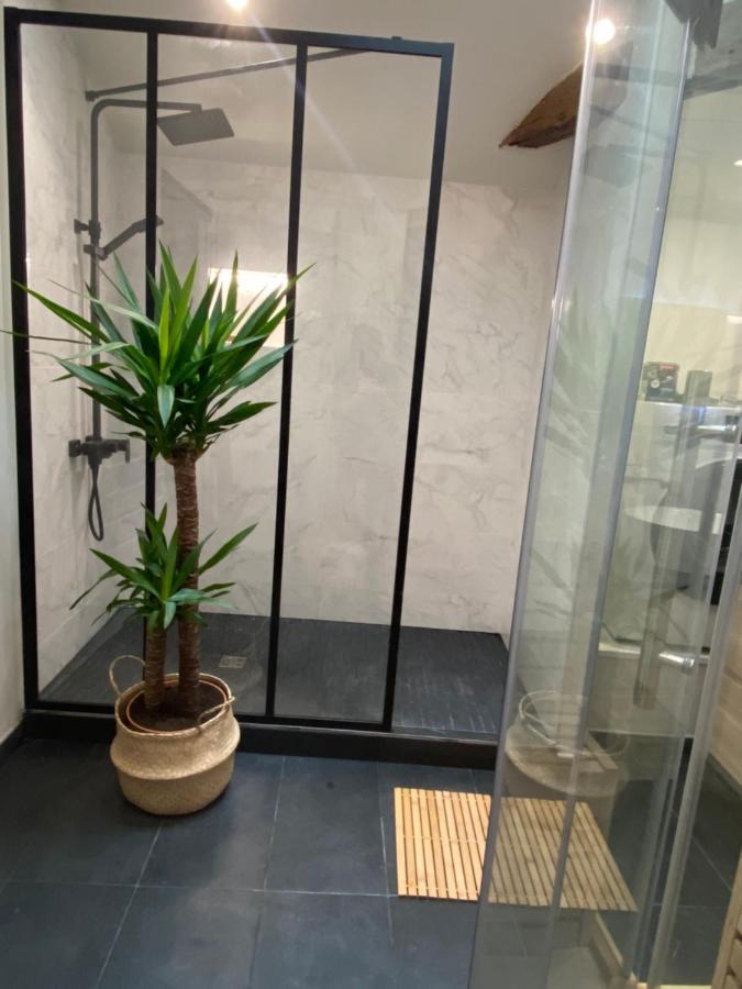 Charmant Appartement Avec Spa フォントネー・ル・コント エクステリア 写真